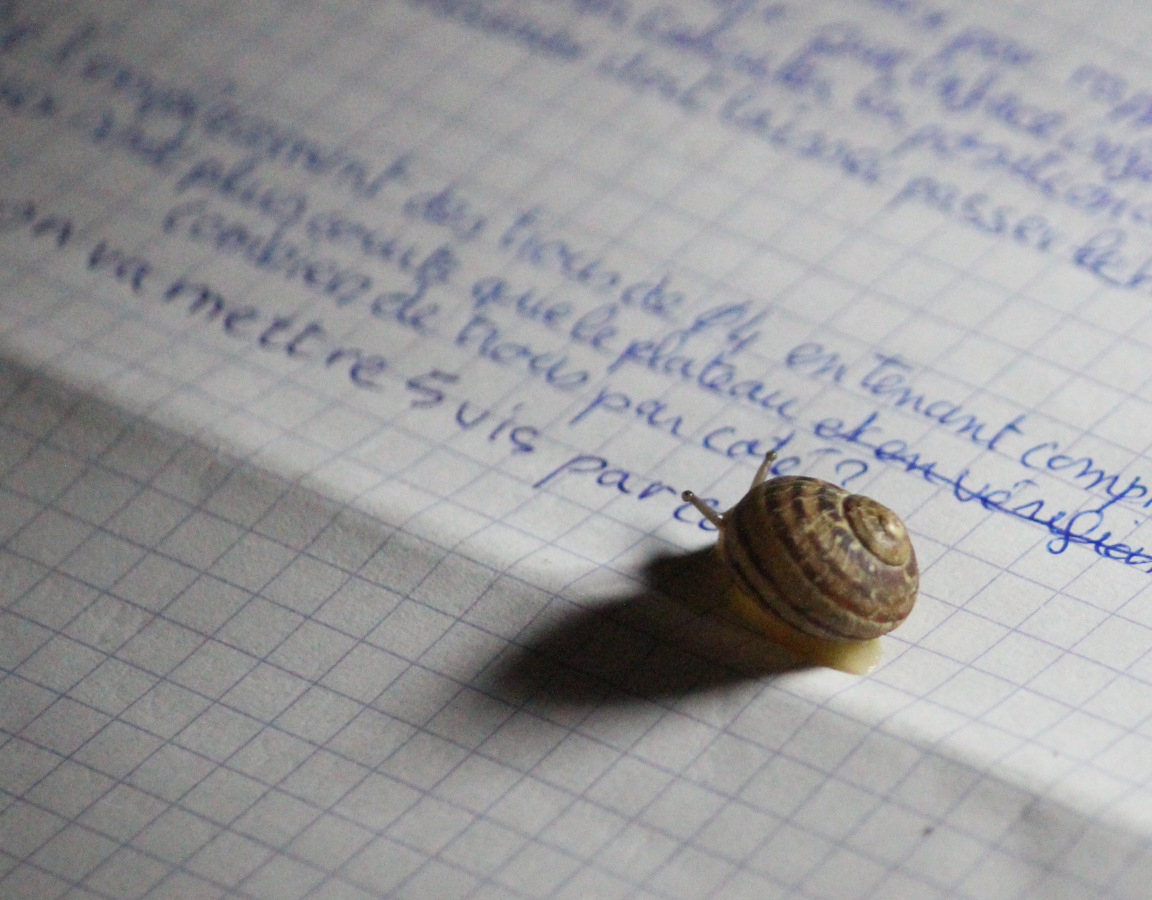 Un escargot relir mon dossier technique